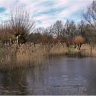 Am Weiher