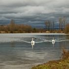 Am Weiher...