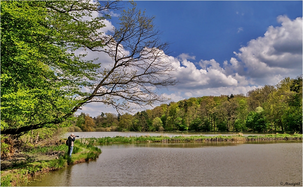 ~ am Weiher ~