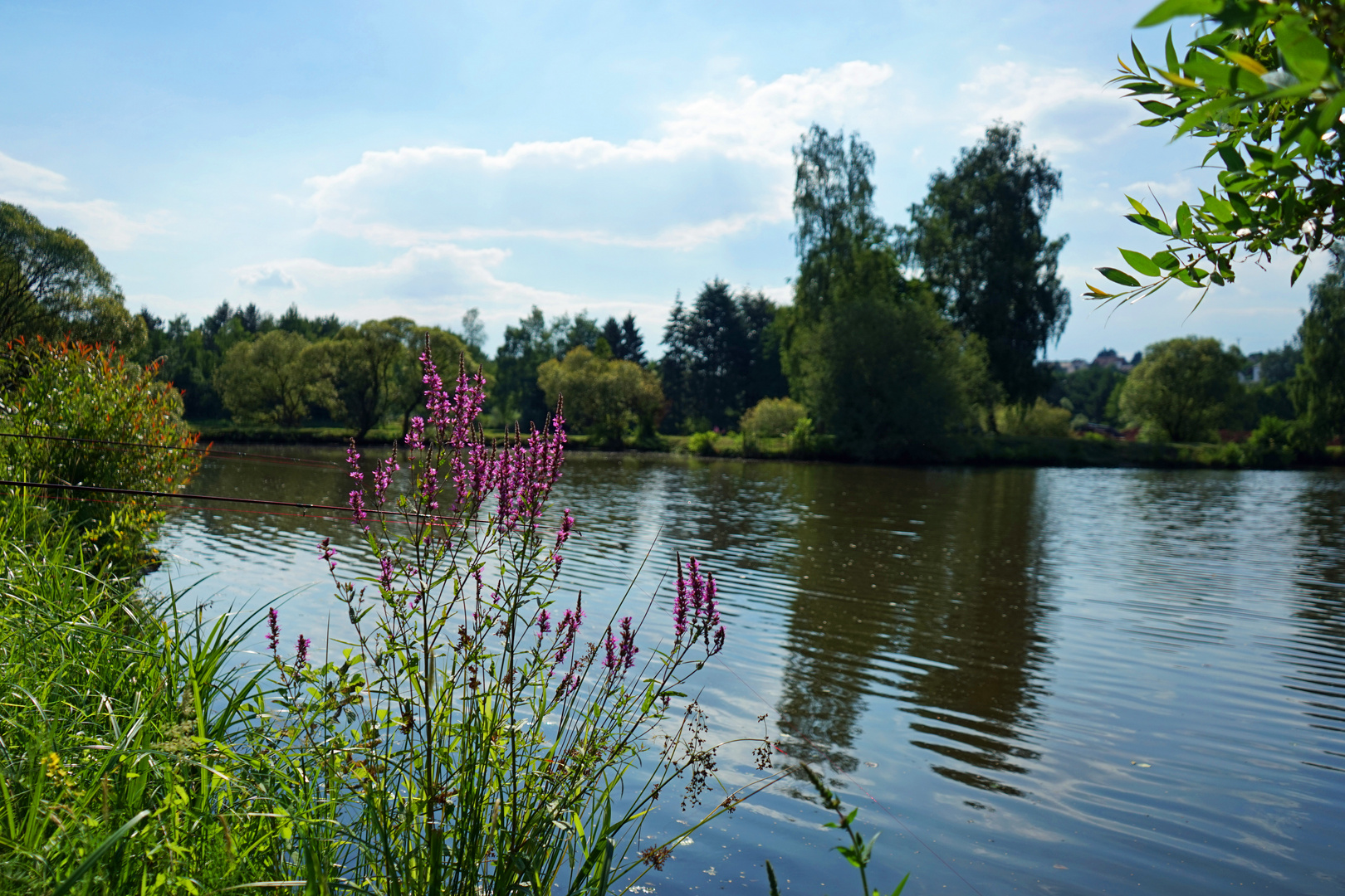 Am Weiher Foto & Bild landschaft, bach, fluss & see, see, teich