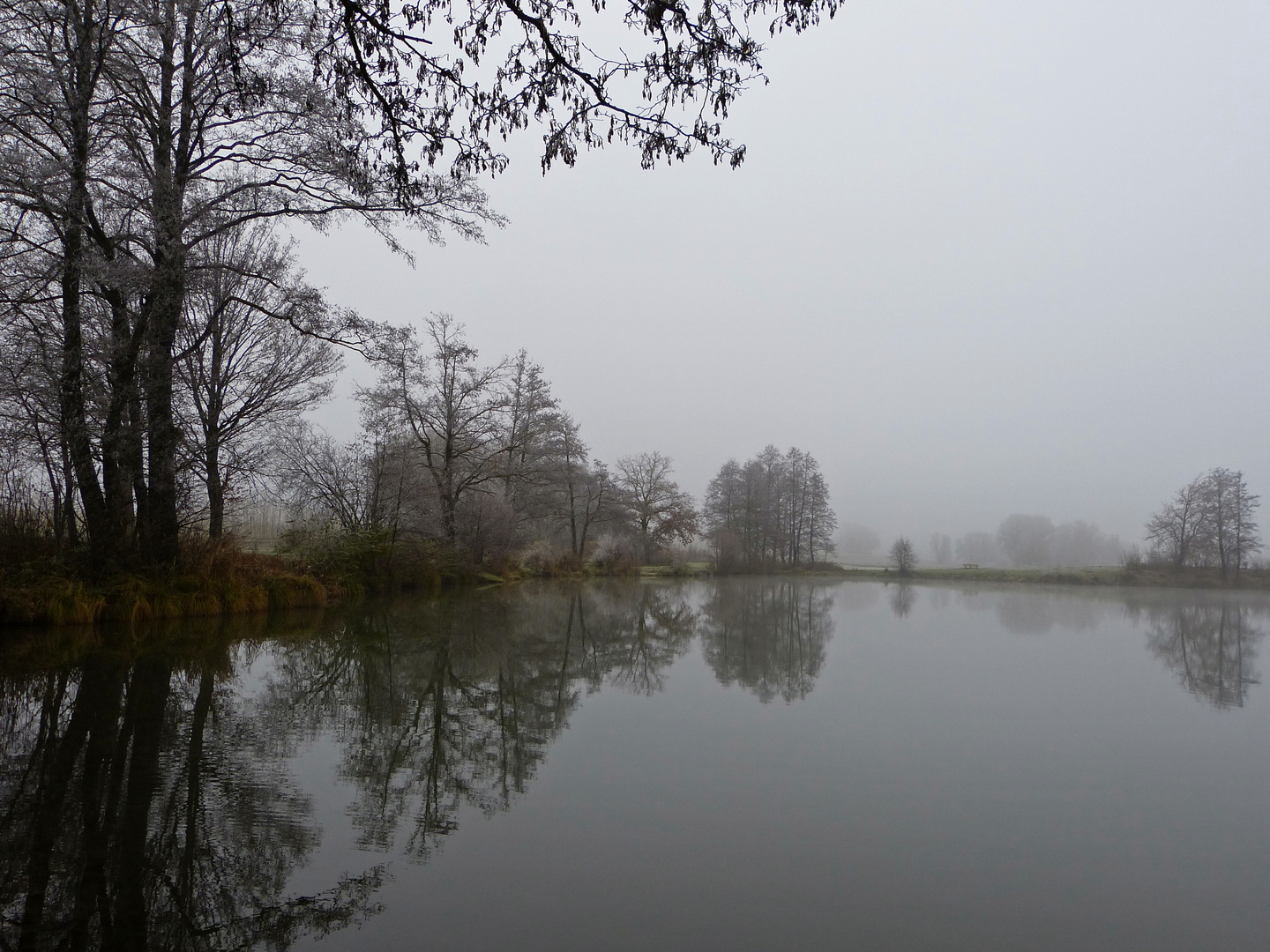 Am Weiher...