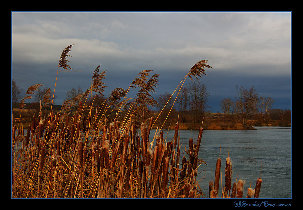 am Weiher