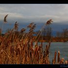 am Weiher