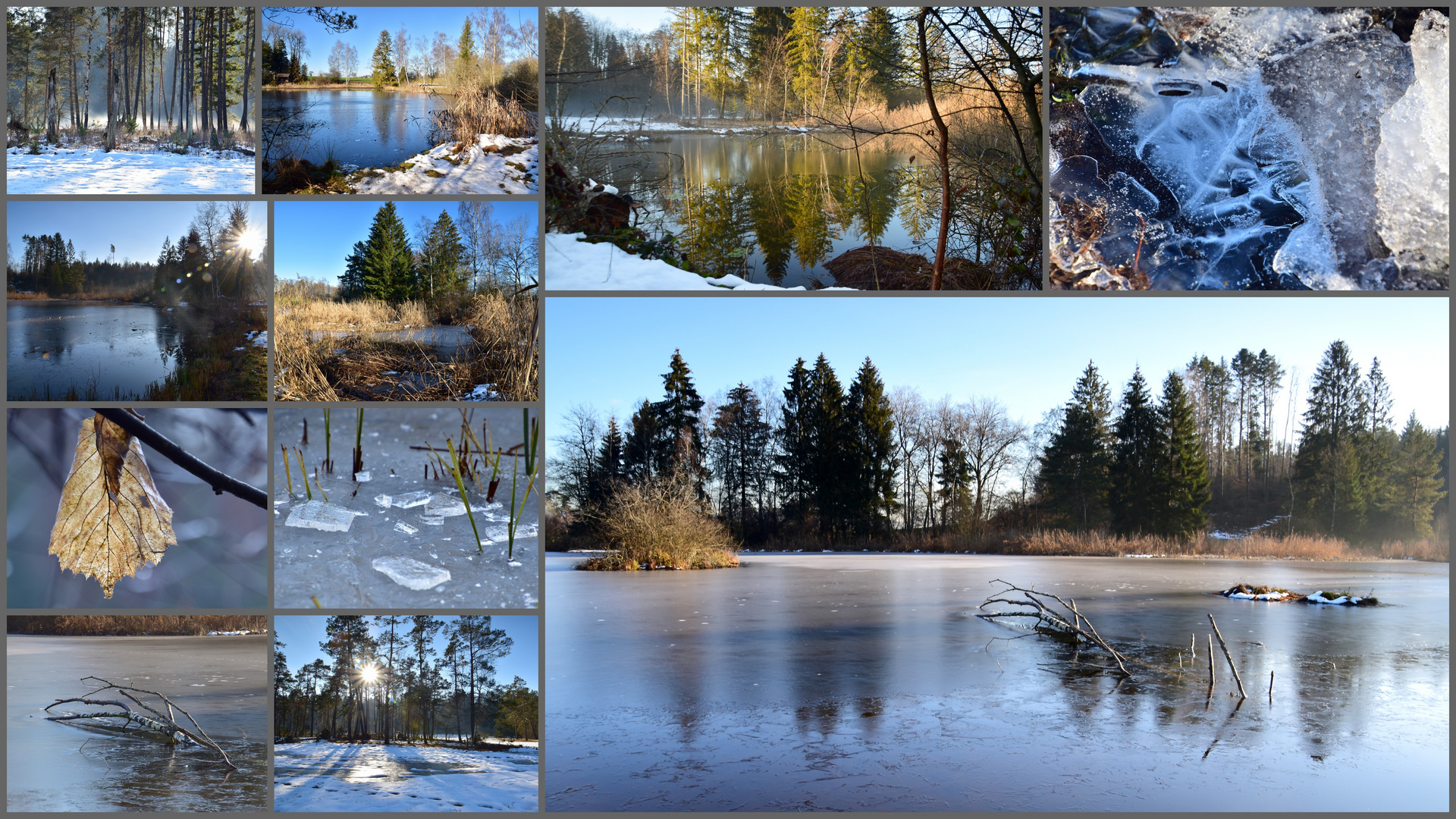 Am Weiher