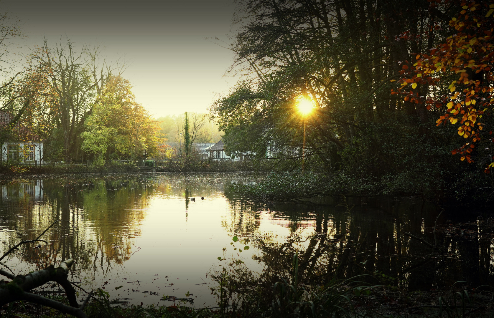 Am Weiher...