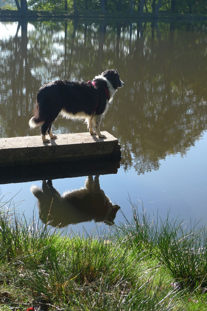 Am Weiher