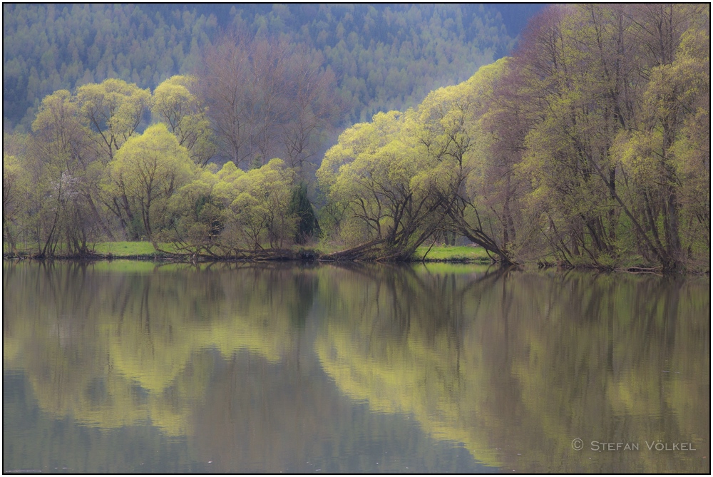 Am Weiher