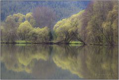 Am Weiher