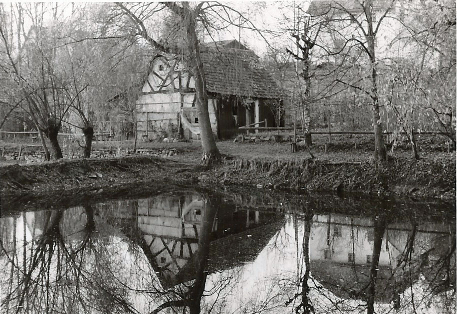 Am Weiher