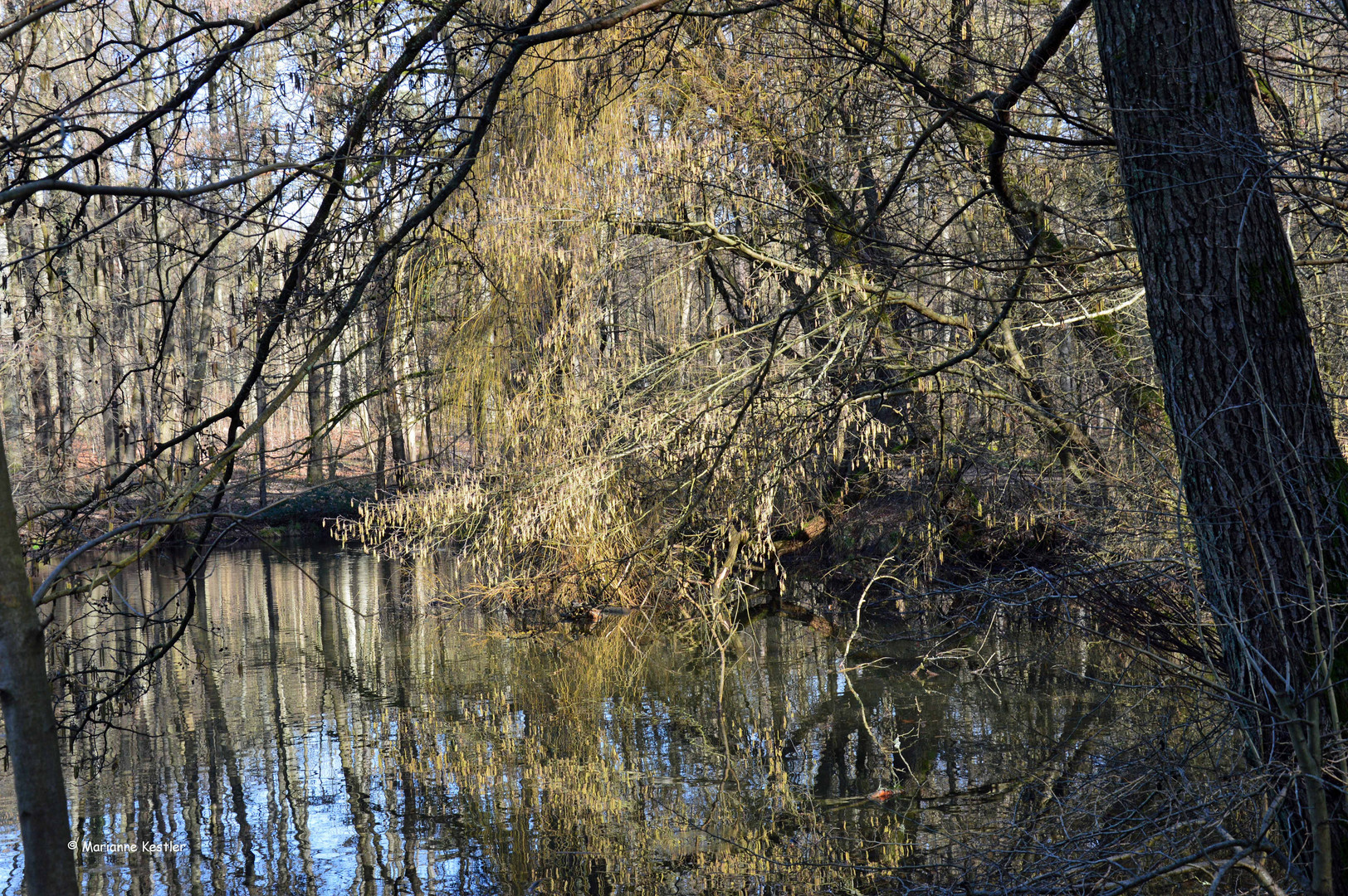 Am Weiher