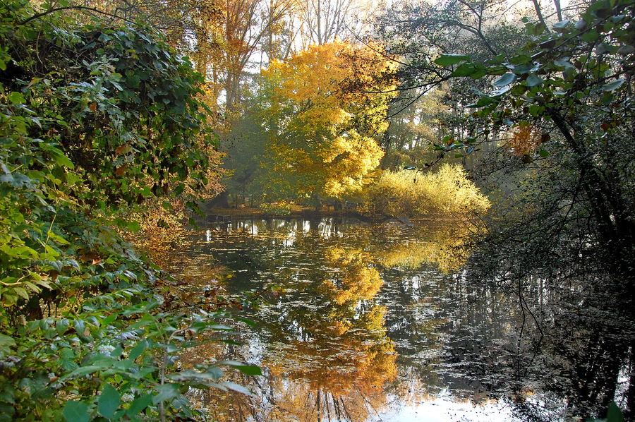 Am Weiher