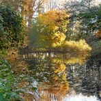 Am Weiher