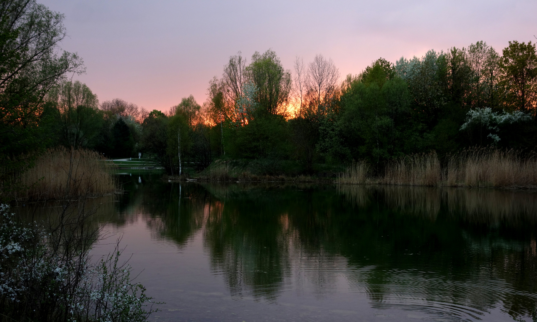 am Weiher...