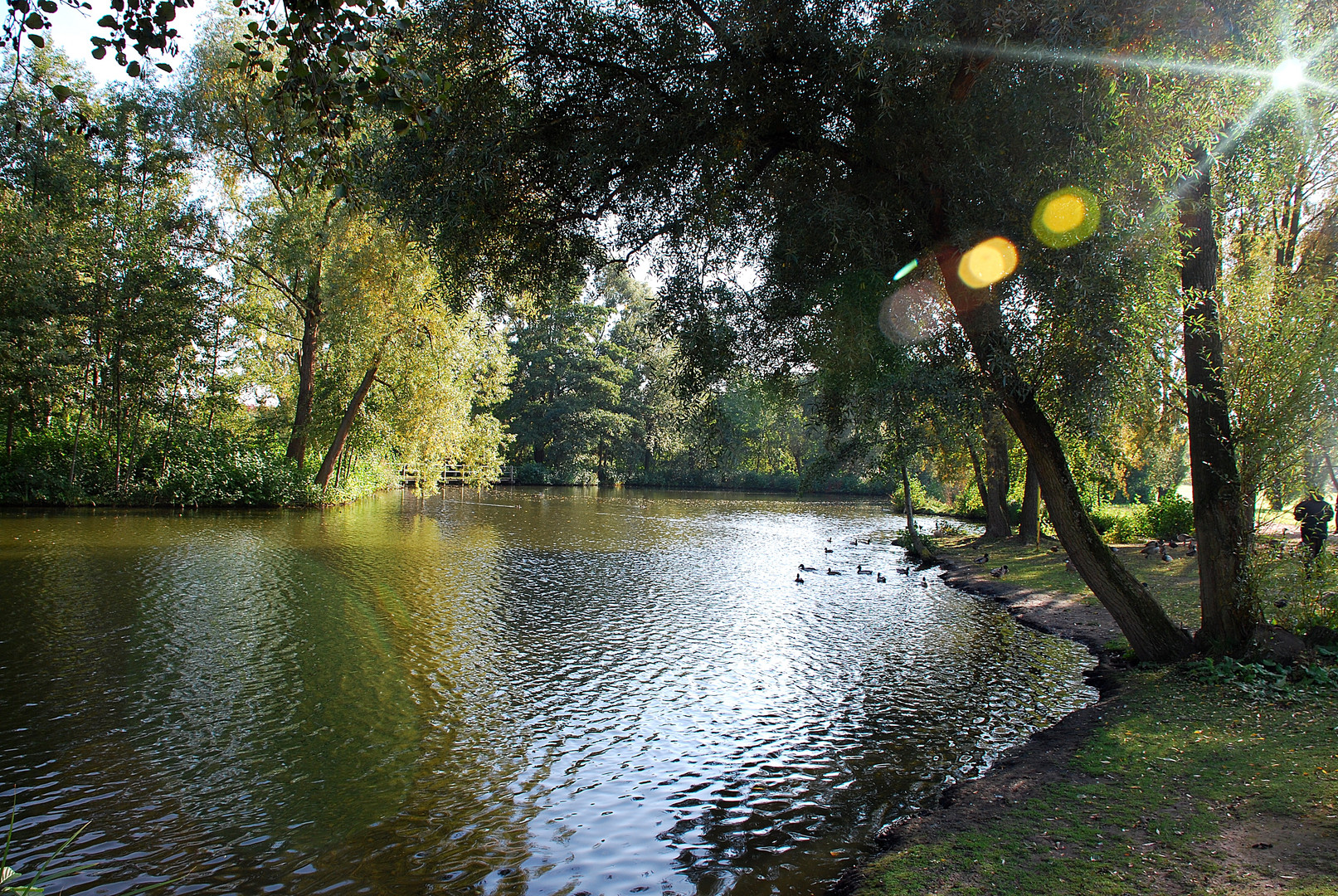 Am Weiher