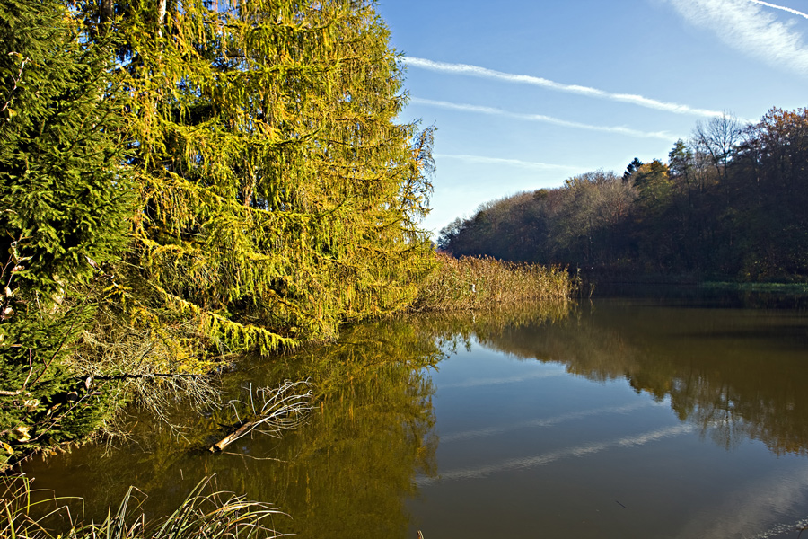 Am Weiher II