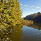 Am Weiher II