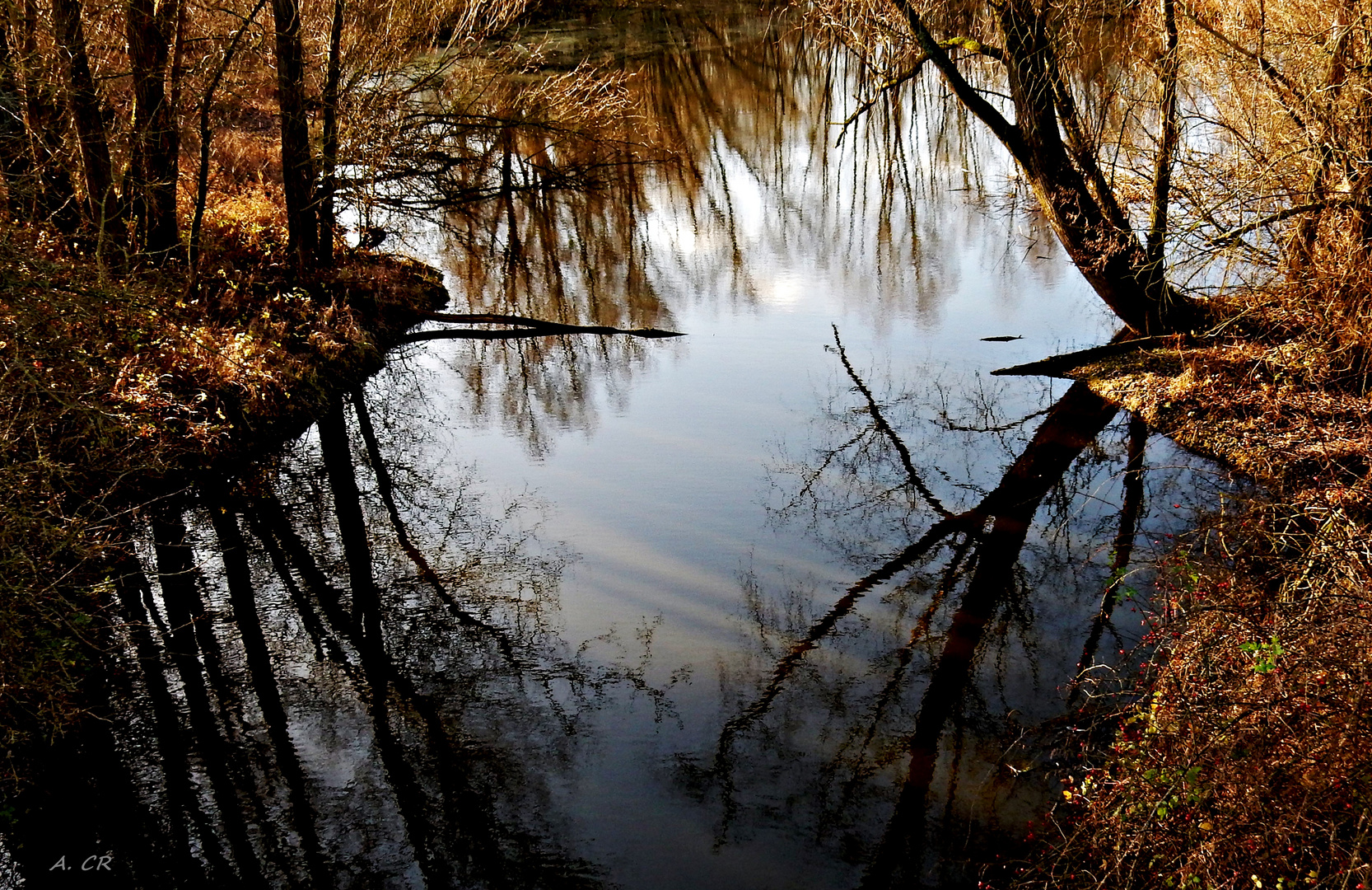 Am Weiher II