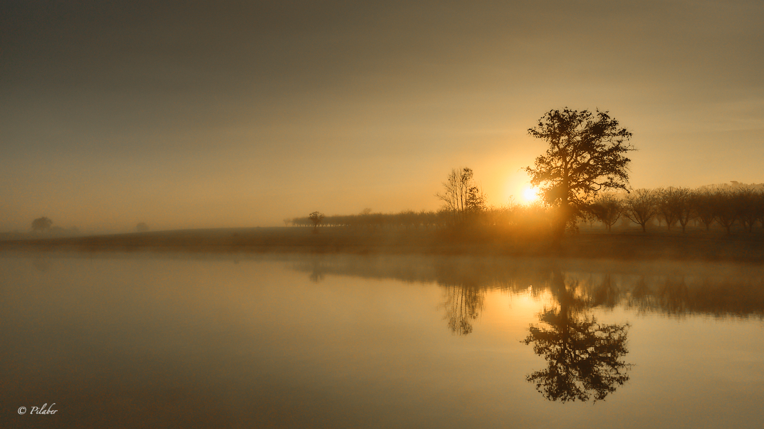 Am weiher II