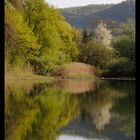 Am Weiher im Frühling