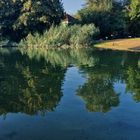 am Weiher in Hattersheim