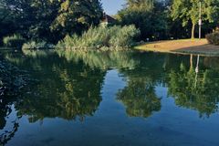 am Weiher in Hattersheim