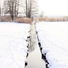 + am Weiher in Wört +