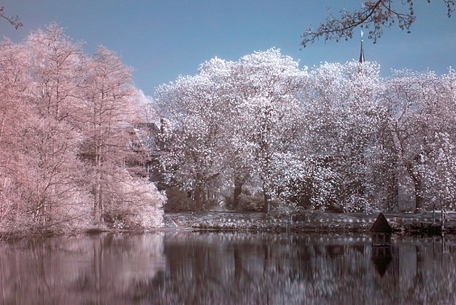 Am Weiher (IR Channel Shift)