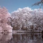 Am Weiher (IR Channel Shift)