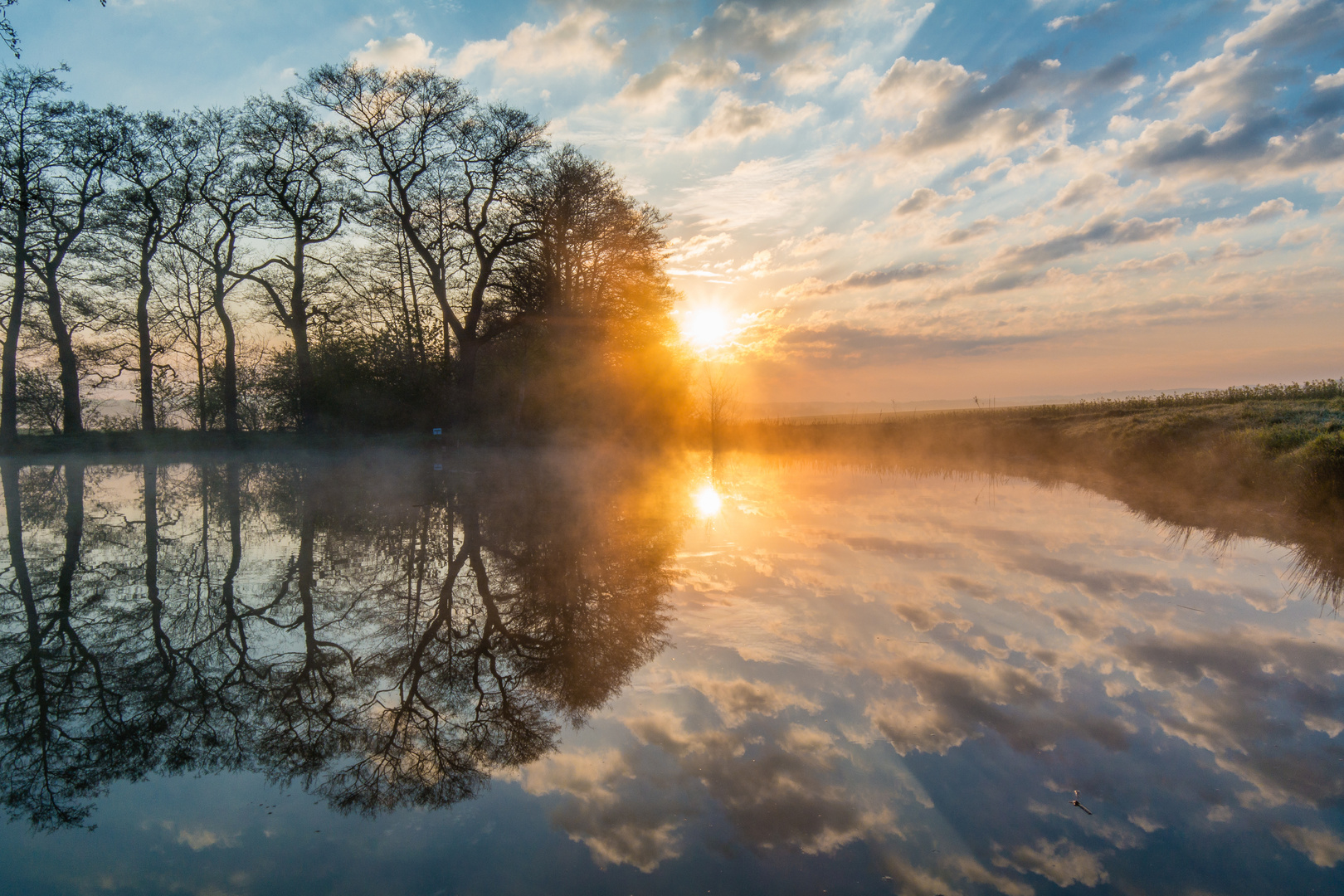 Am Weiher IV