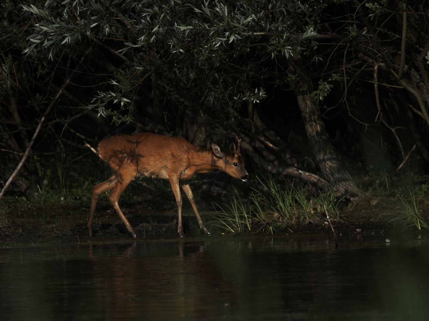 Am Weiher nach dem Bad