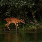 Am Weiher nach dem Bad