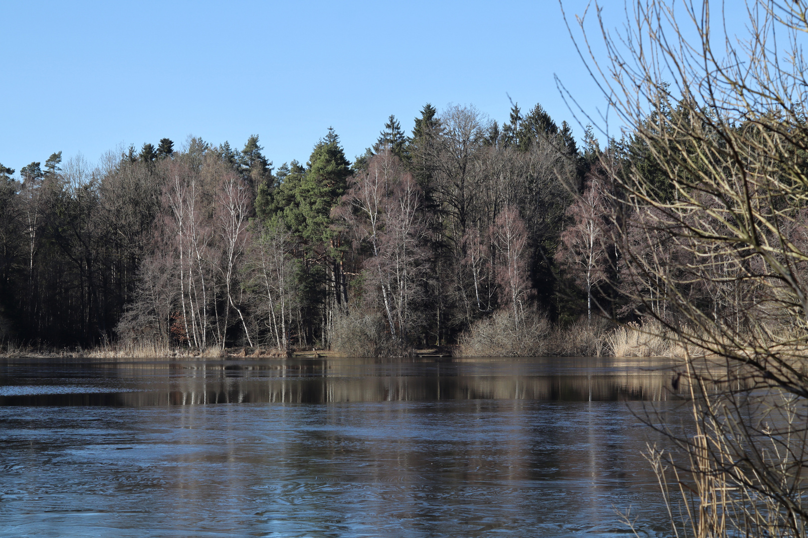 Am Weiher Teil zwei