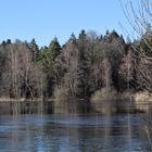 Am Weiher Teil zwei