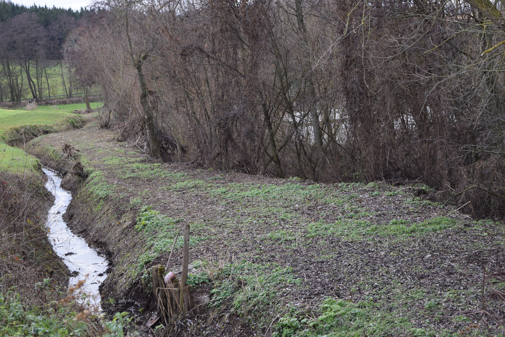 am Weiher; Wasserwirtschaft-Teichwirtschaft