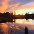 Am Weiher zu Sighartstein