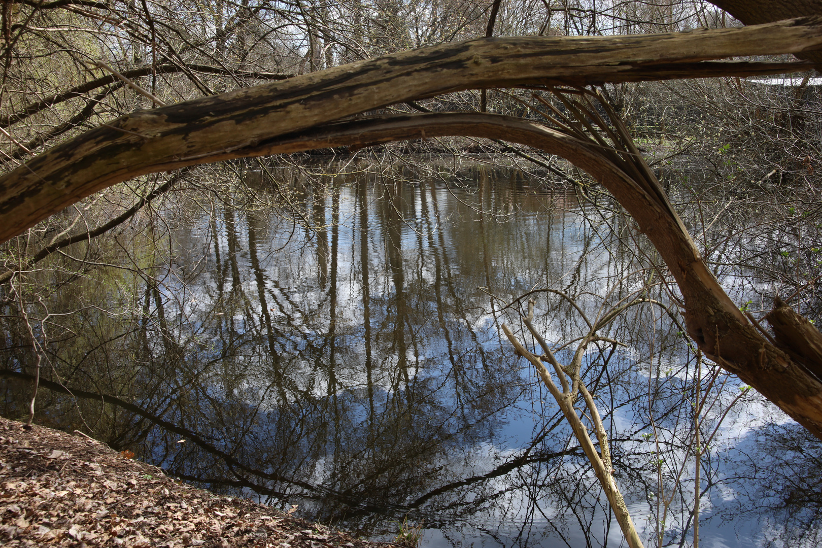 Am Weiher1