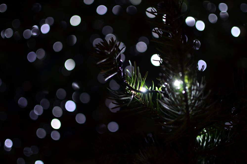 Am Weihnachtsbaume, die Lichter brennen