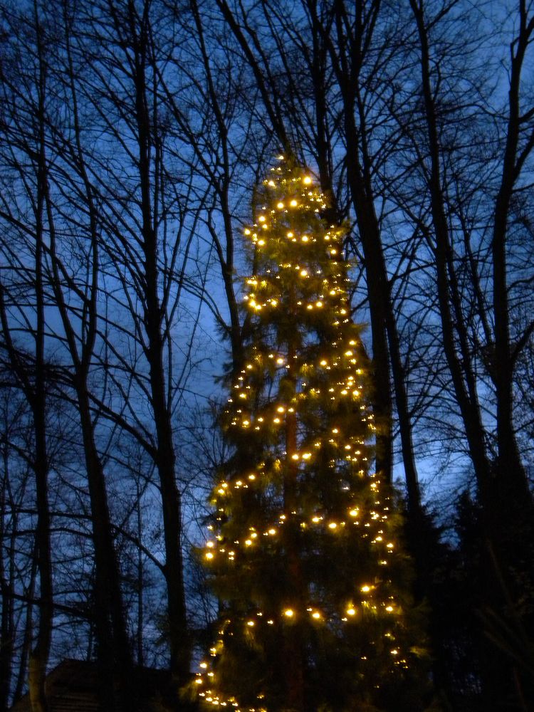 Am Weihnachtsmarkt von Angela Stamm 