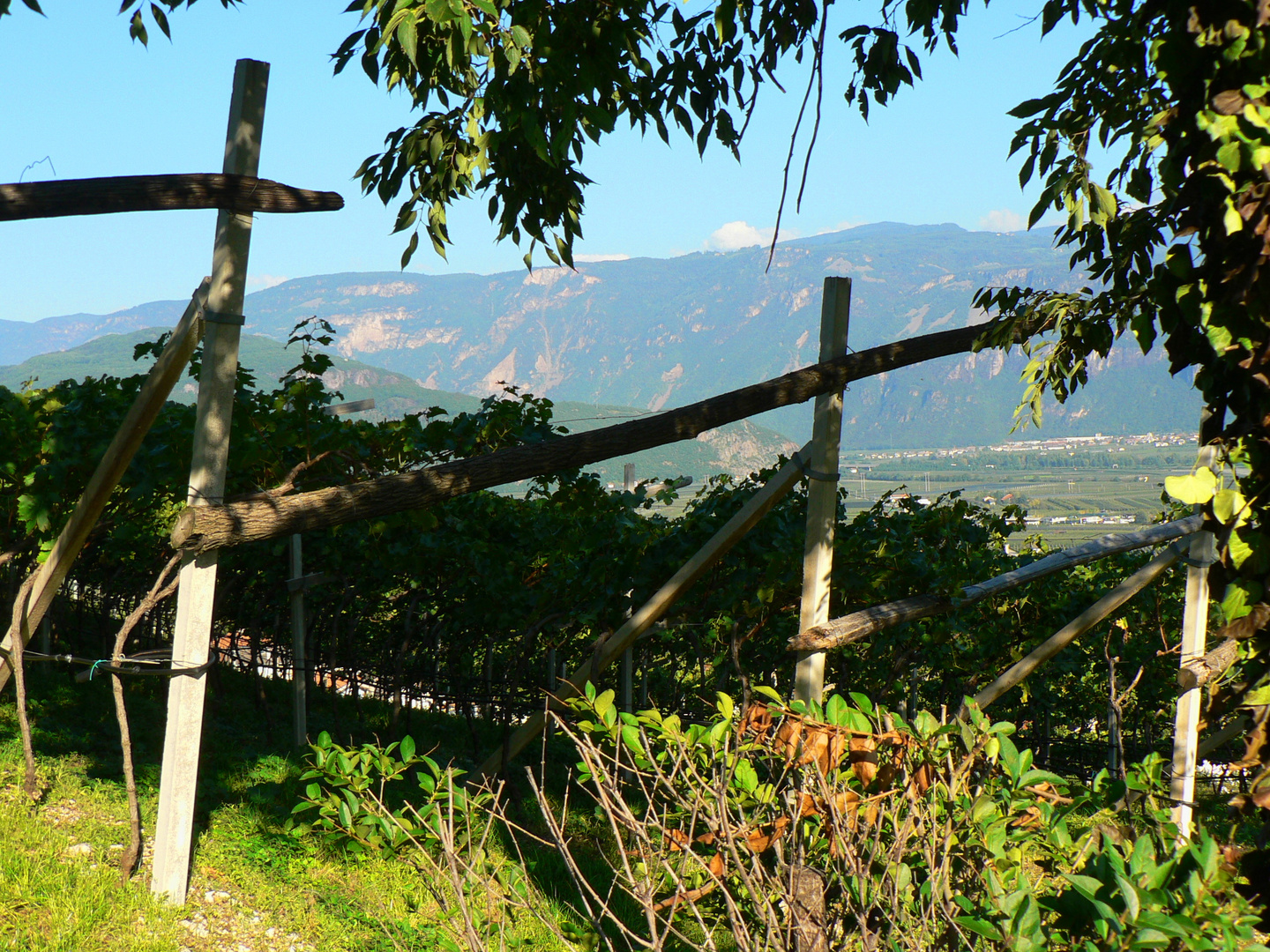 Am Weinberg, Südtirol