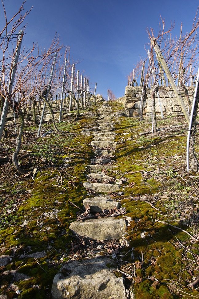 am Weinhang