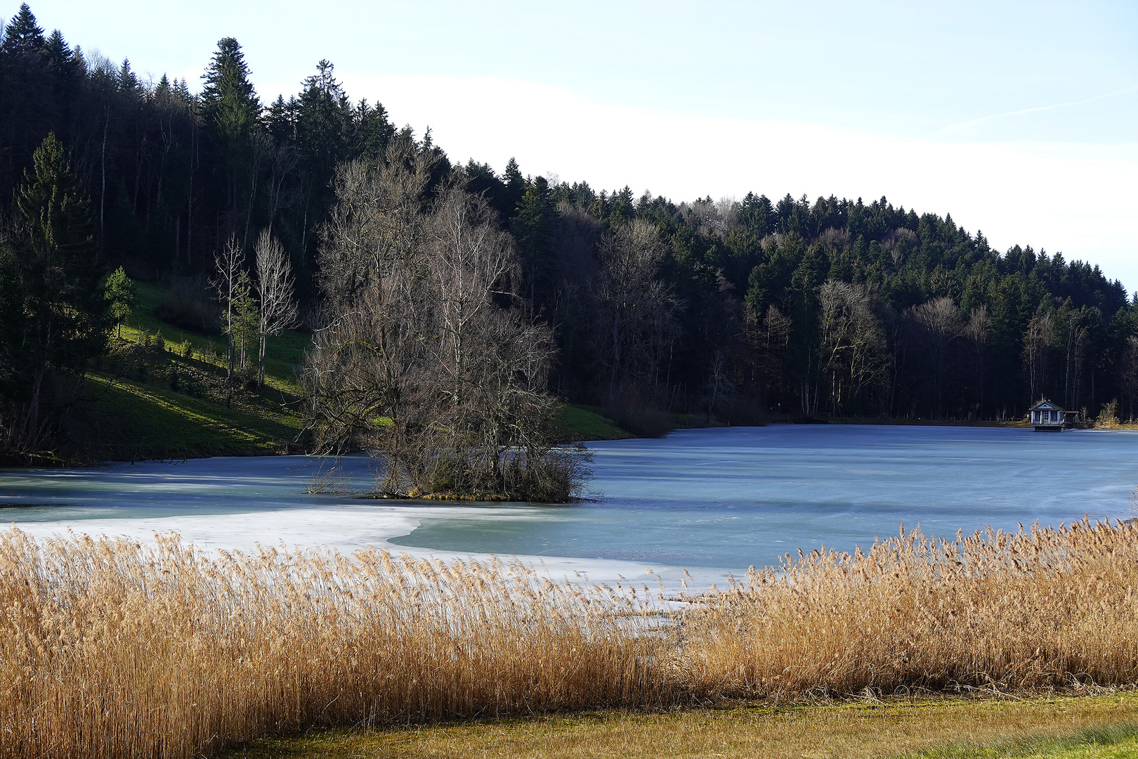 am Weinigerweiher