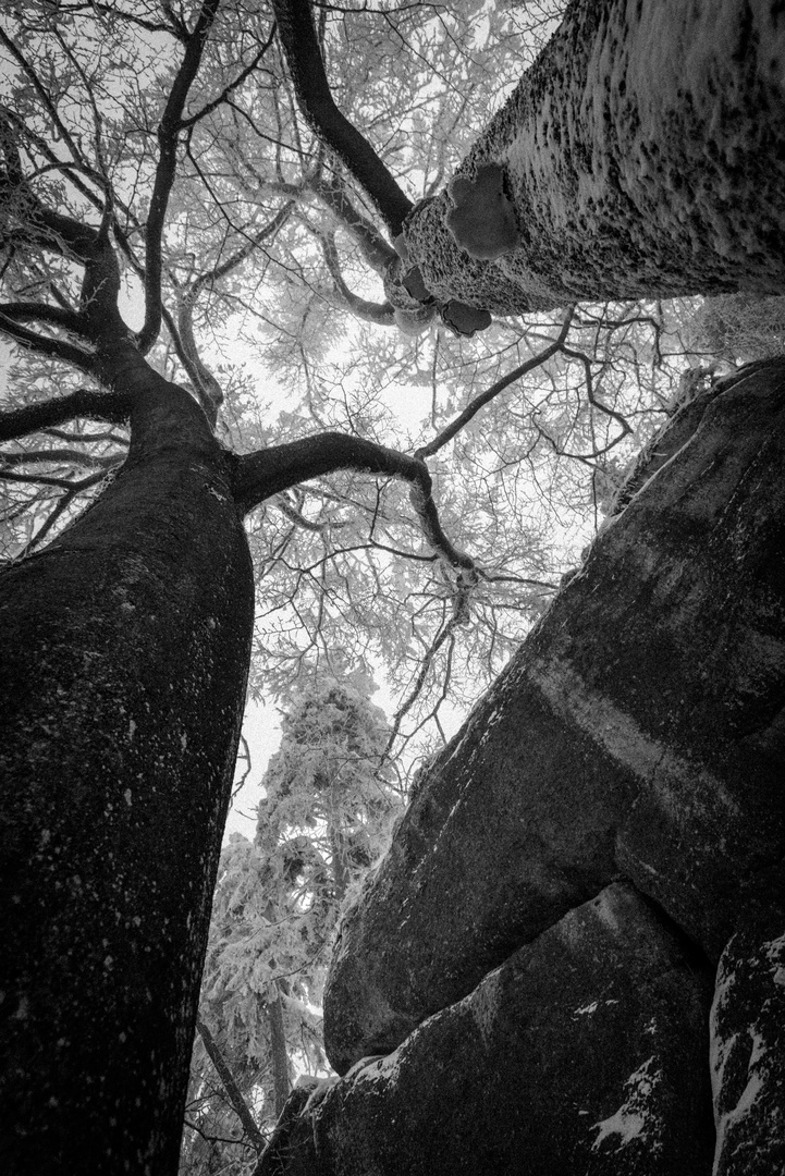 am Weismain Felsen