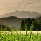 Am Weissensee / Östereich