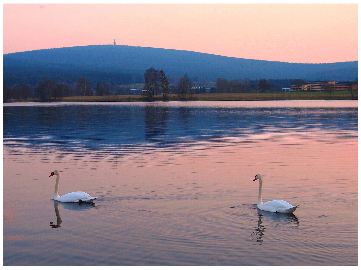 Am Weißenstädter See