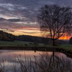 Am Weiterndorfer Fischweiher