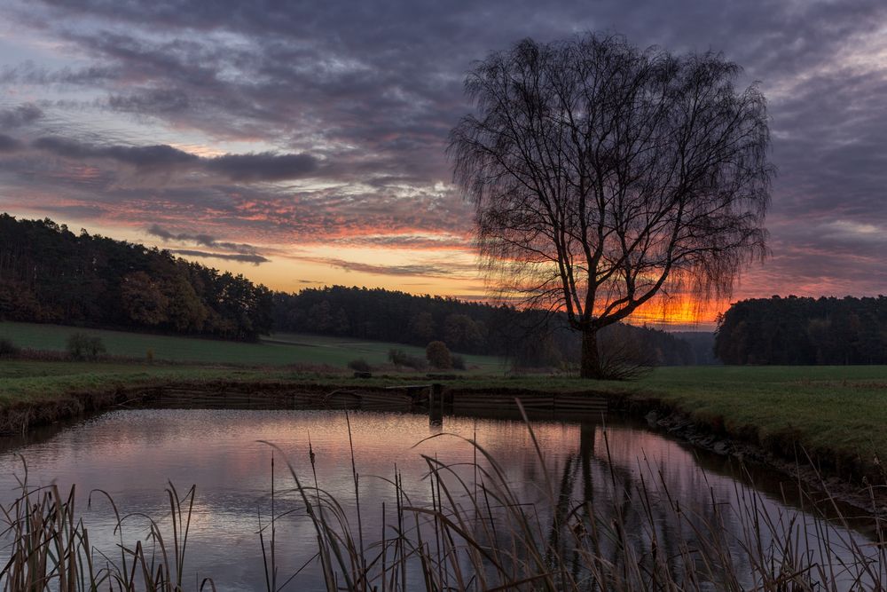 Am Weiterndorfer Fischweiher