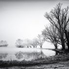 Am Weiterndorfer Weiher