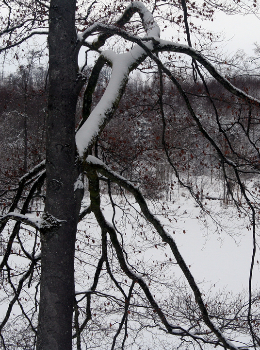 Am Wellenburger Weiher