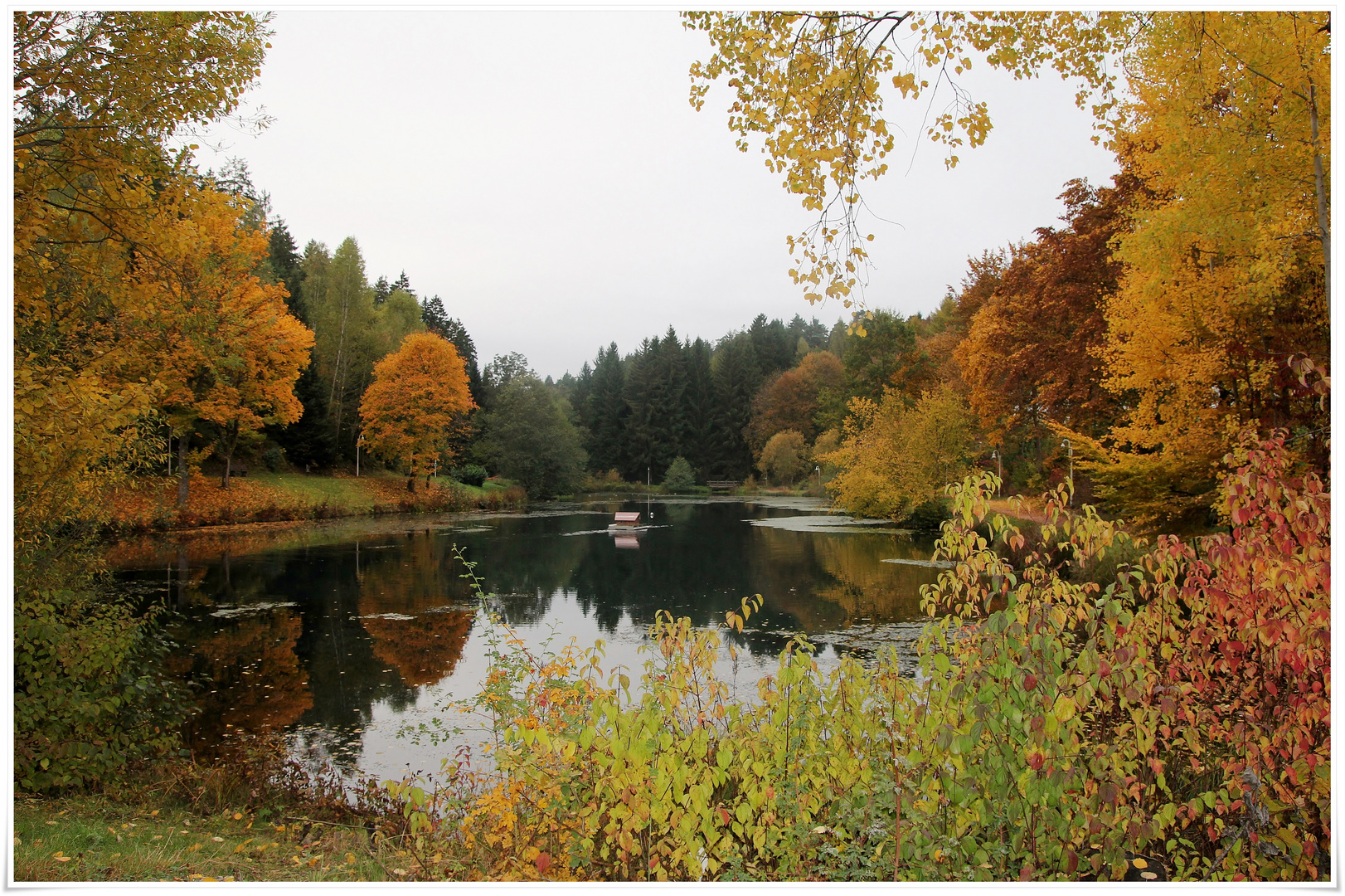 am Wellnesswald