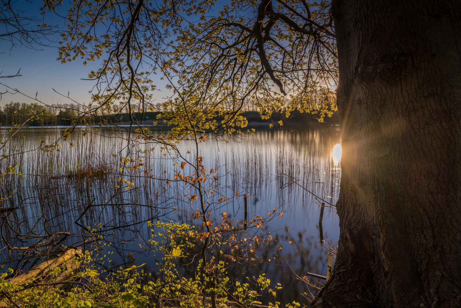  Am  Wendelsdorfer See 